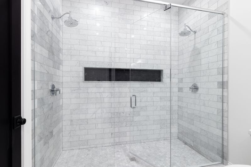 Sleek Shower with Built-in Niches